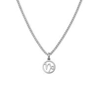 Minimalistische sterrenbeeld ketting - Stainless steel - Zilver - Steenbok - Capricornus