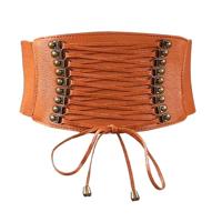 Vrouwelijke elastische kwast brede riem decoratie jurk accessoires riem (bruin)