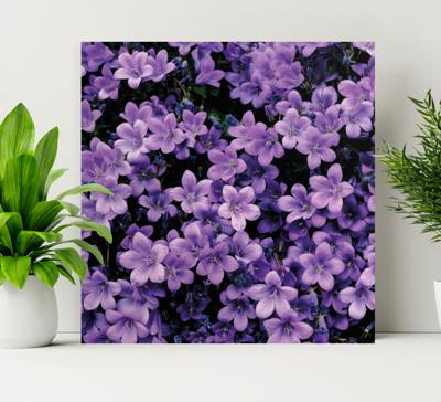 Canvas bloemen Vage paarse bloemen