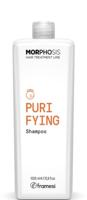 Framesi Morphosis Purifying Shampoo 1000ml | Anti-roos