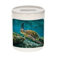 Dieren foto spaarpot zee schildpad 9 cm - schildpadden spaarpotten jongens en meisjes - thumbnail
