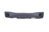 Bumper 5510000925900P