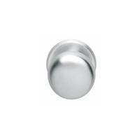 Intersteel VoordeurknopCastor mat chroom Ø 8cm - 0017.393033 Intersteel VoordeurknopCastor mat chroom Ø 8cm - 0017.393033