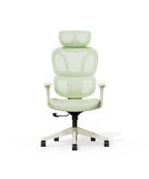 Kleurrijke Ergonomische Stoel met Wolkachtige Kussen
