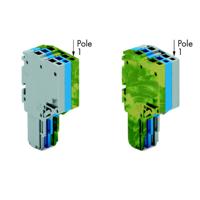 WAGO 2020-203/000-038 Connector, female Grijs, Blauw, Groen, Geel 50 stuk(s)