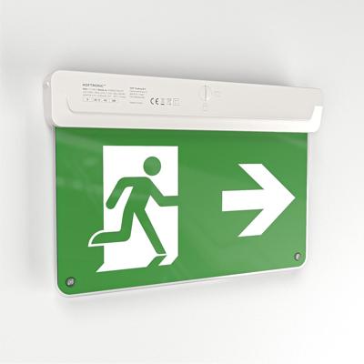 HOFTRONIC™ Tumu - LED Noodverlichting met Accu - 2,2 Watt 20 Lumen - Voor muur & plafond - Autotest-functie & Testknop - 6500K Daglicht Wit Licht - Nooduitgang Bord - Incl. Vluchtwegstickers
