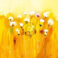 Kunstdruk Anne L. Strunk - Summerfields I 70x70cm