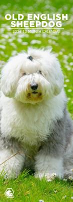 Old English Sheepdog Slimline Kalender 2026 Old English Sheepdog Slimline Kalender 2026