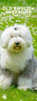 Old English Sheepdog Slimline Kalender 2026