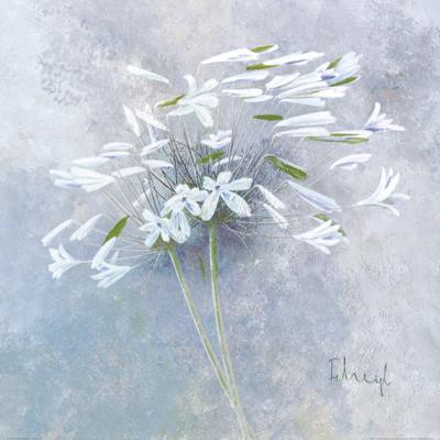 Kunstdruk Franz Heigl - Enchanted I 60x60cm