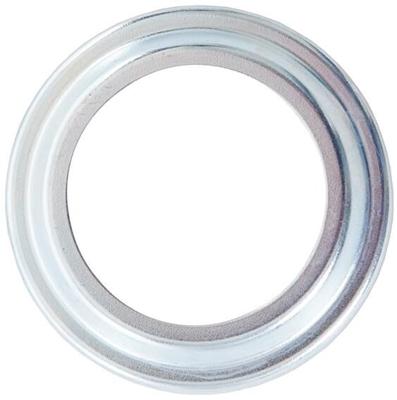 SRAM stofkap dust cap galvanized