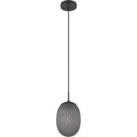 LED Hanglamp - Hangverlichting - Trion Feget - E27 Fitting - 1-lichts - Rond - Mat Zwart - Metaal