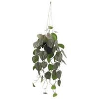 Peperomia melon hang 90 cm kunstplant Buitengewoon de Boet - Buitengewoon de boet