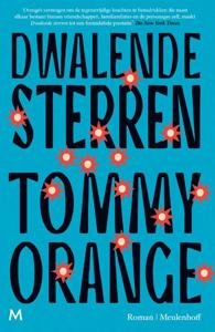 Dwalende sterren (Hardback)