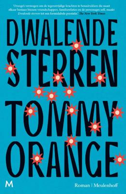 Dwalende sterren (Hardback)
