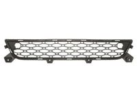 Ventilatiegrille, bumper 6502079057911P
