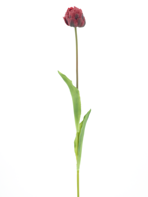PSO Tulip spray Paris Sally red 79 cm kunstbloem - Nova nature