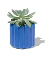 HEMA Bloempot Ø6.5x7cm Keramiek Ribbel Blauw (kobaltblauw)