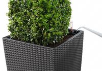 LECHUZA CUBE Cottage 50 All-in-One Set Binnen/buiten Plantenpot Vrijstaand Polypropyleen (PP) Wit - thumbnail