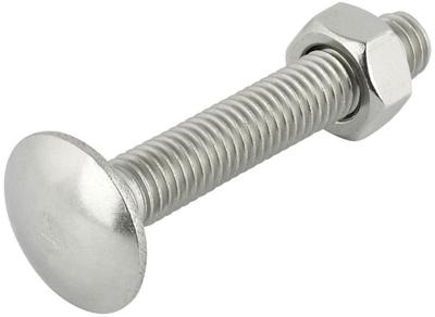 Slotbouten M10x120 mm prijs per stuk - Gardenlux