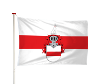 Vlag Doornenburg