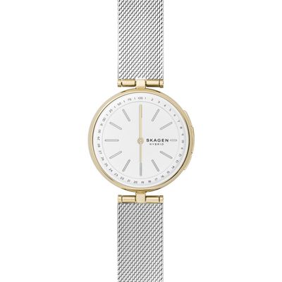 Horlogeband Skagen SKT1413 Staal Staal 16mm