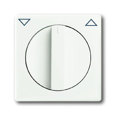 Busch-Jaeger centraalplaat 1740-884 studiowit mat