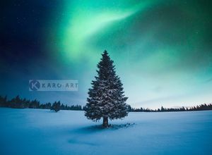 Karo-art Schilderij - Noorder licht Kerstboom , Blauw groen , 3 Maten , Wanddecoratie