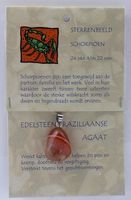Sterrenbeeldhanger schorpioen Sterrenbeeldhanger schorpioen