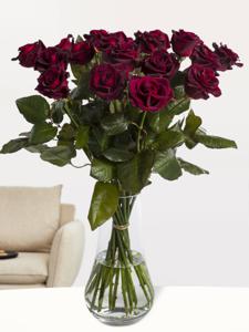 20 dieprode rozen - Black Baccara