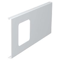 D2-1 130RW  - Face plate for device mount wireway D2-1 130RW