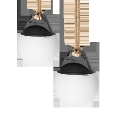 Light 250 (2 pack)
