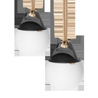 Light 250 (2 pack)
