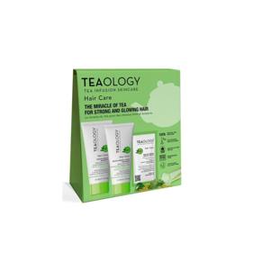 Matcha repair hair care kit
