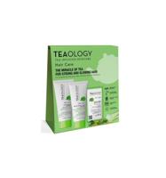 Matcha repair hair care kit