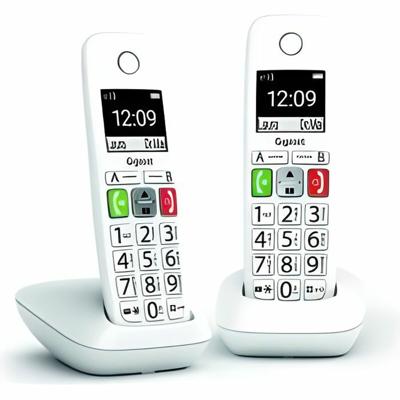 Draadloze telefoon Gigaset E290 Duo Wit
