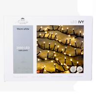 Kerstverlichting Ivy - 2000 led lampjes - warm wit - 42 meter - lichtsnoer