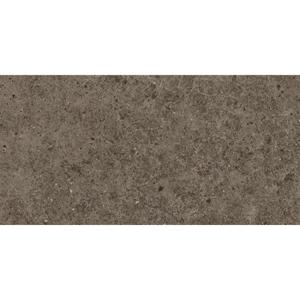 Atlas Concorde Boost Stone A6R5 vloertegel 30X60cm 9mm mat rect. R10 tobacco