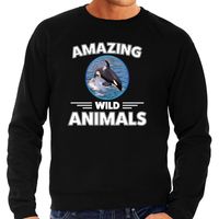 Sweater orka walvissen amazing wild animals / dieren trui zwart voor heren - thumbnail