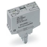 WAGO 286-320 Steekrelais 24 V/DC 6 A 1x NC, 1x NO 1 stuk(s)