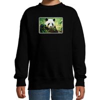 Dieren sweater / trui met pandaberen foto zwart voor kinderen - thumbnail