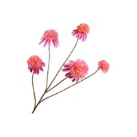 Rudbeckia roze 90 cm kunstbloem Buitengewoon de Boet - Buitengewoon de boet