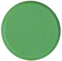 Bouhon magneten, 10 mm, groen, pak van 10 stuks