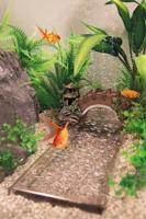 Superfish Deco onderwater rivier