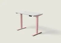 Desktronic HomePro bureau Zachtroze / Grijs / 120x60 cm