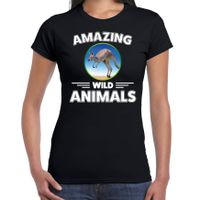 T-shirt kangoeroes amazing wild animals / dieren zwart voor dames