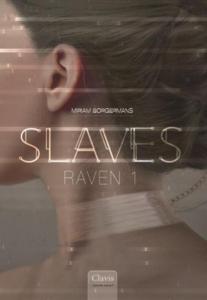 Raven 1 (Hardback)