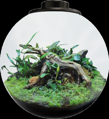 BioArt Bowl 225 zwart BioArt Bowl 225 zwart