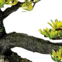 Sf deco bonsai m - Superfish