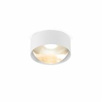 Trizo21 - Bily 16 in plafond zilveren LED Plafondlamp